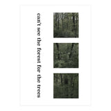 can’t see the forest for the trees (Print Only) thumbnail