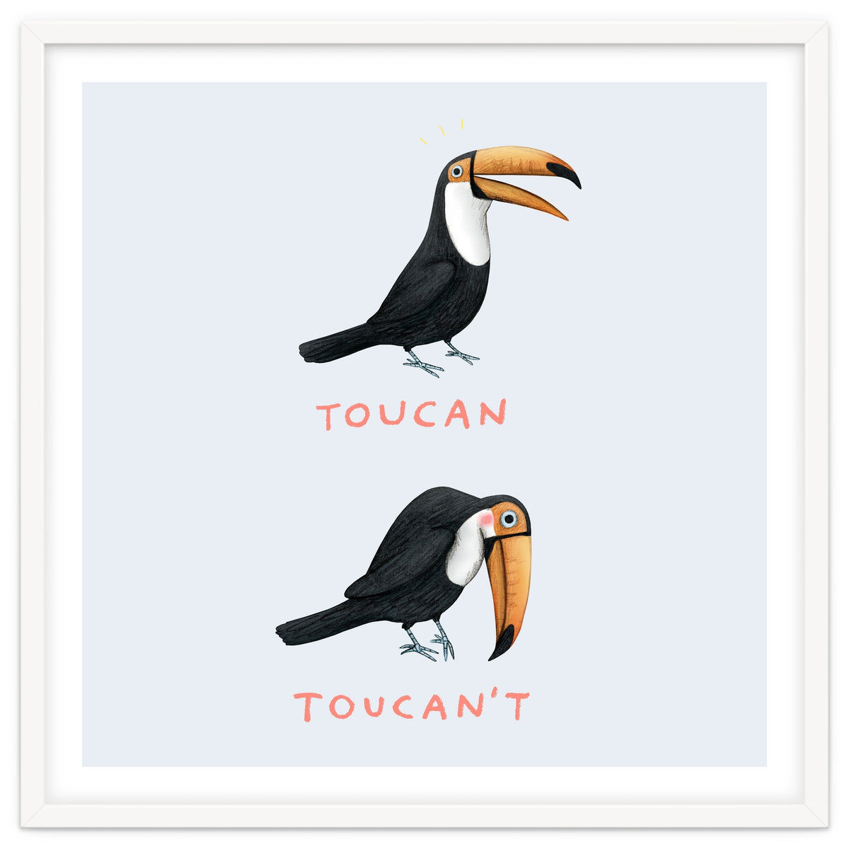 Toucan Toucan't