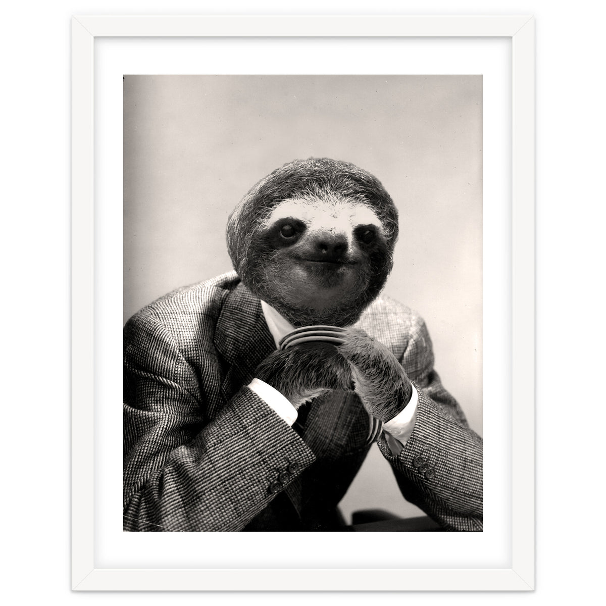 Gentleman Sloth 3