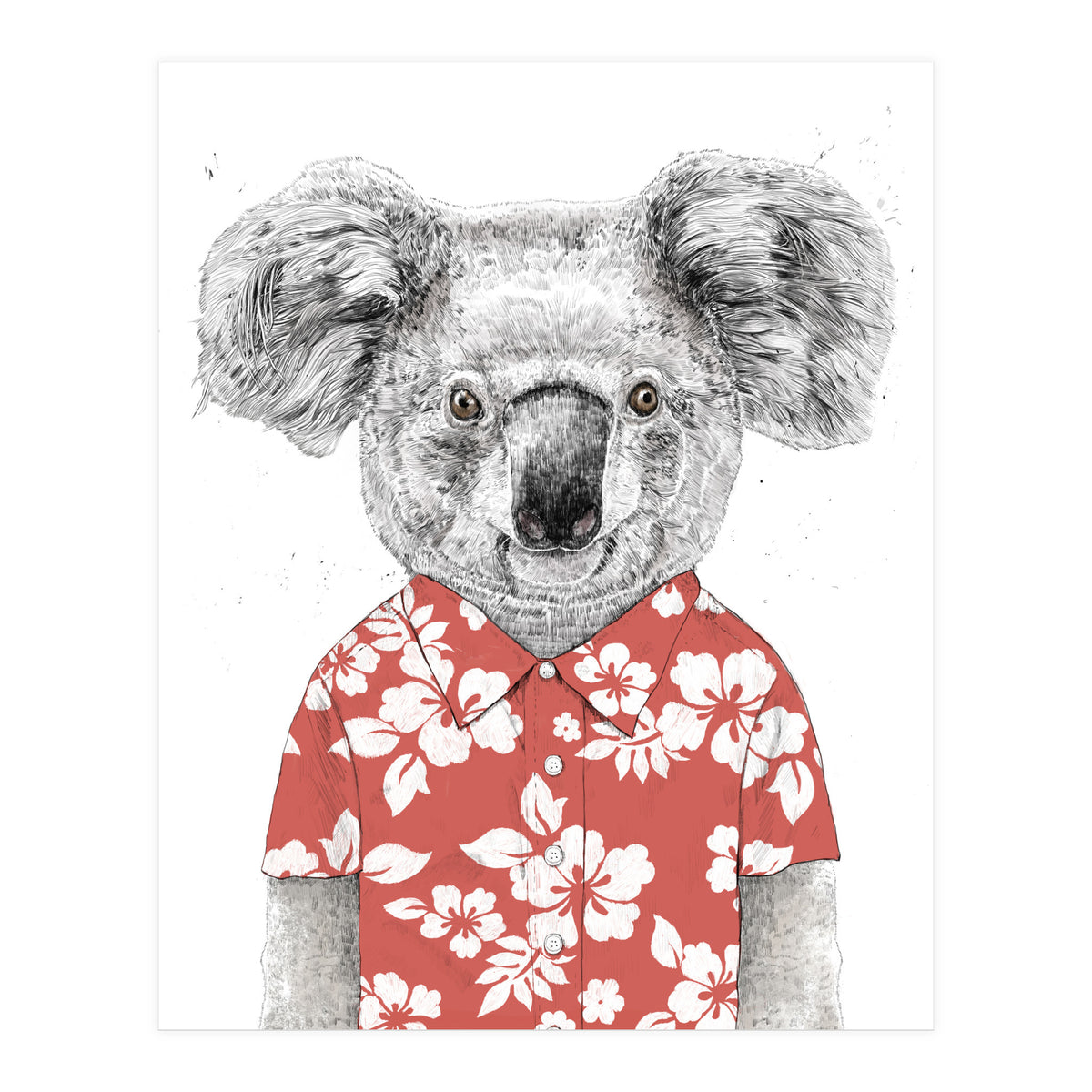 Summer Koala  (Print Only)
