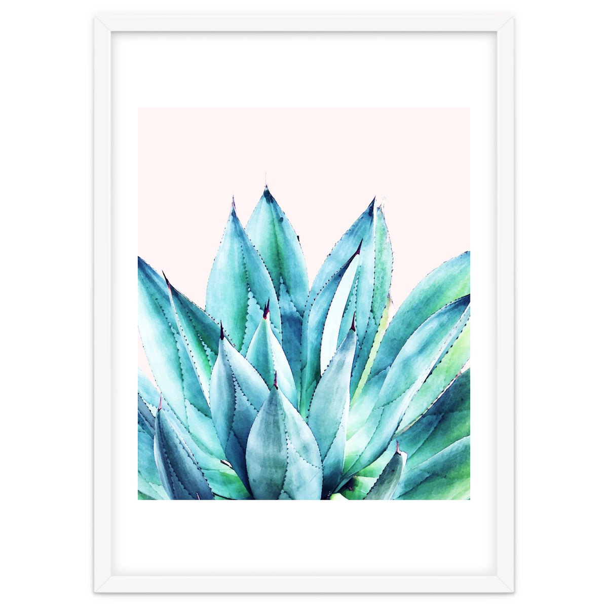 Agave Vibe