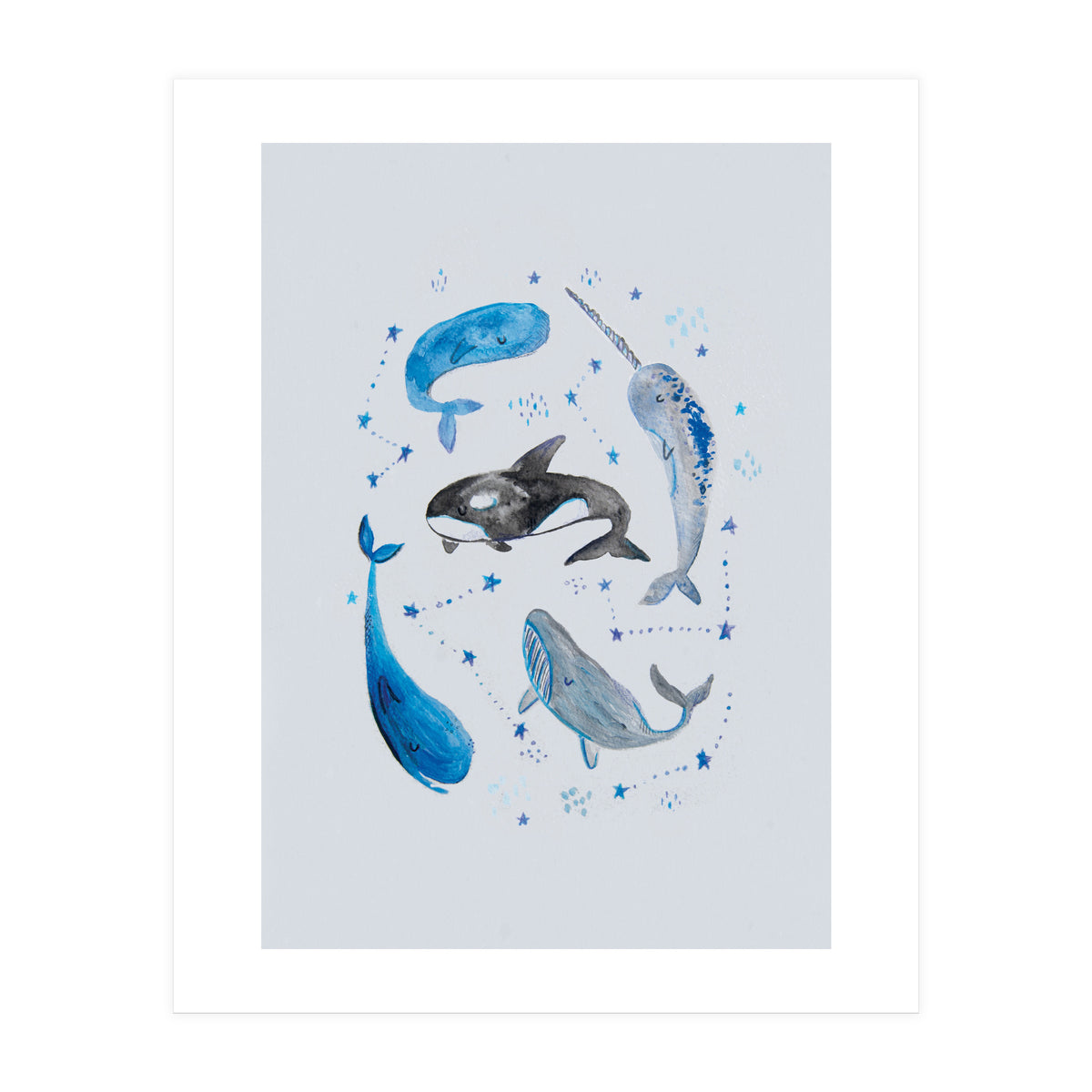 Whales (Print Only)
