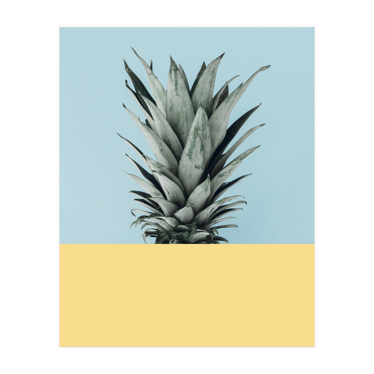 Scandinavian pineapple III (Print Only)