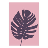 Monstera Deliciosa III (Print Only) thumbnail