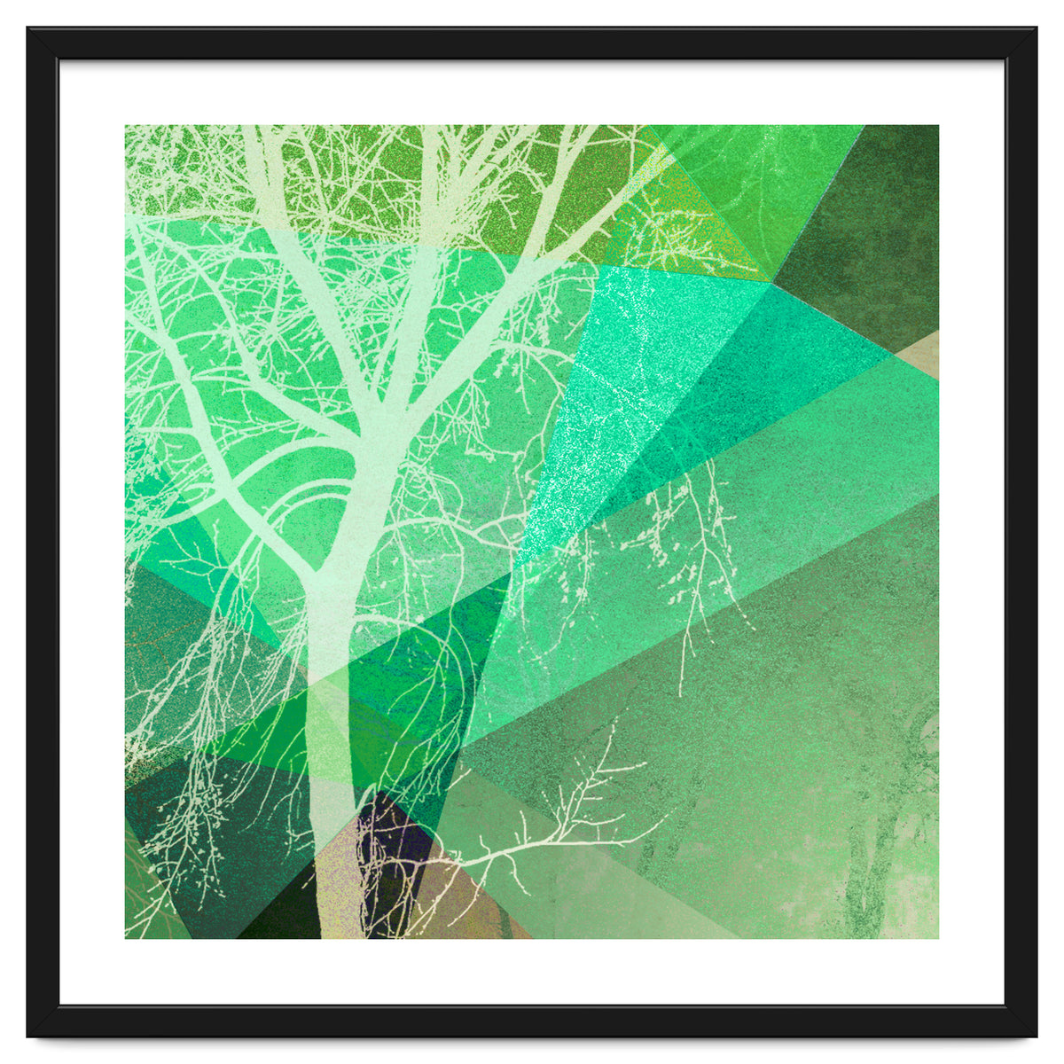 P22-B3 Trees And Triangles