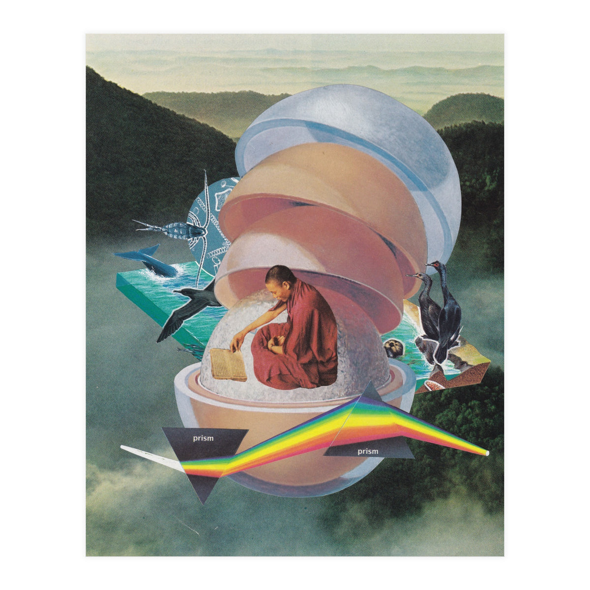 Open Book, Open World (Print Only)