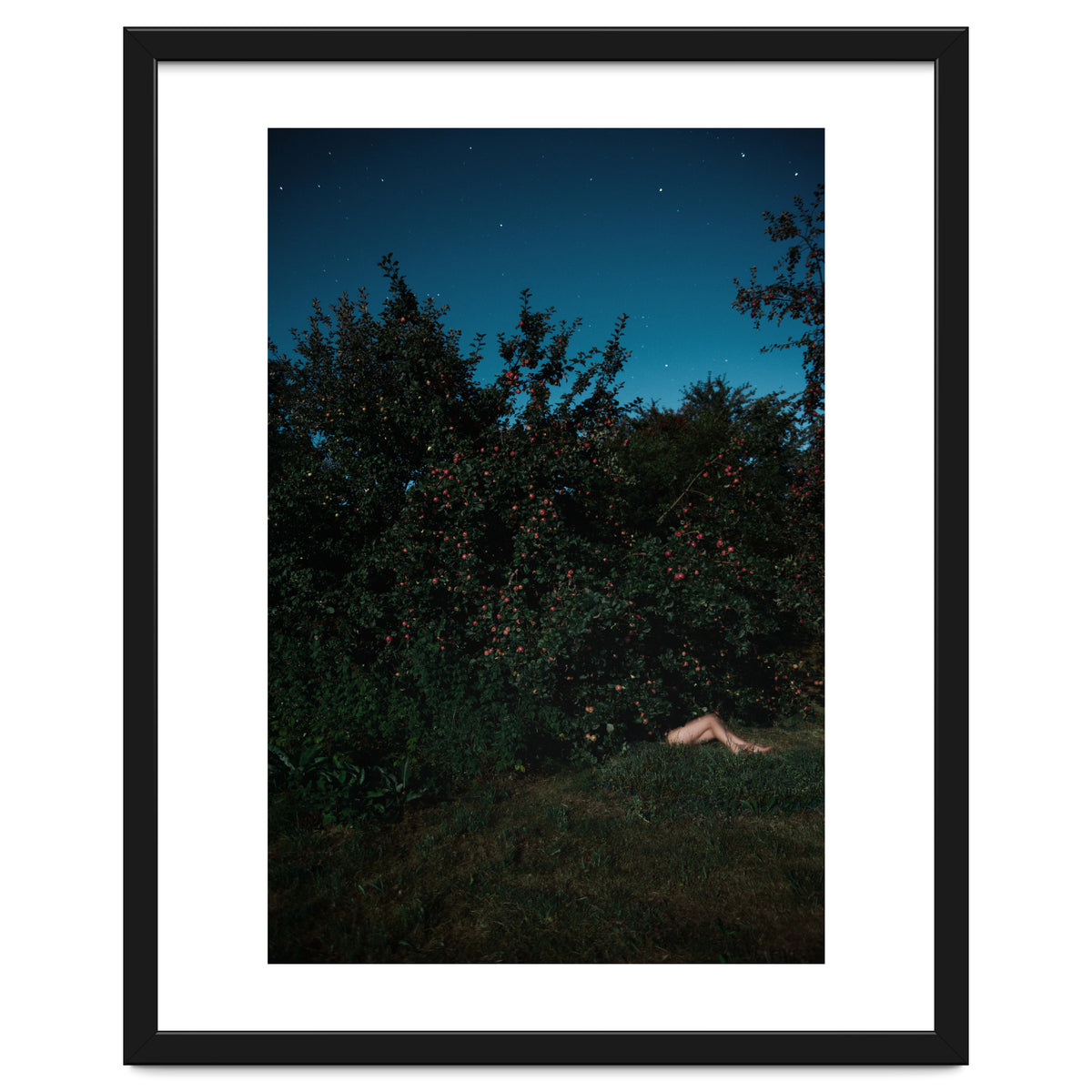 The Cider House Legs