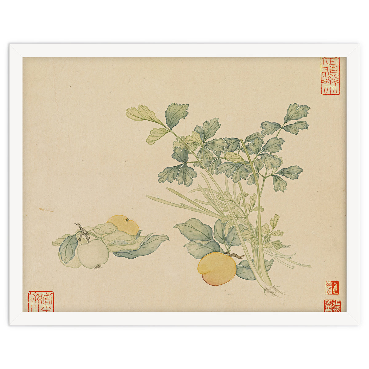 Wang Chengyu~flowers And Vegetables, Vegetables, Fruits, Plums, Apricots, Celery