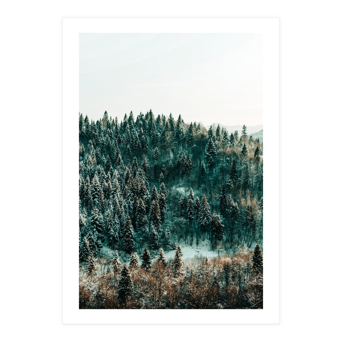 In The Wild (Print Only)