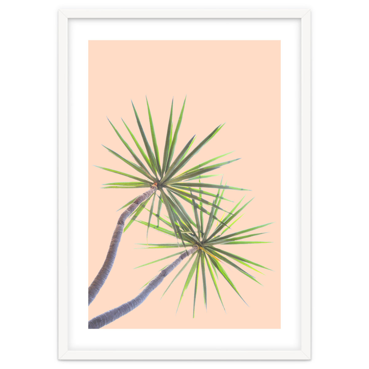 Tropical Serenity | Botanical Nature Plants | Boho Jungle Floral Garden | Watercolor Palm Painting