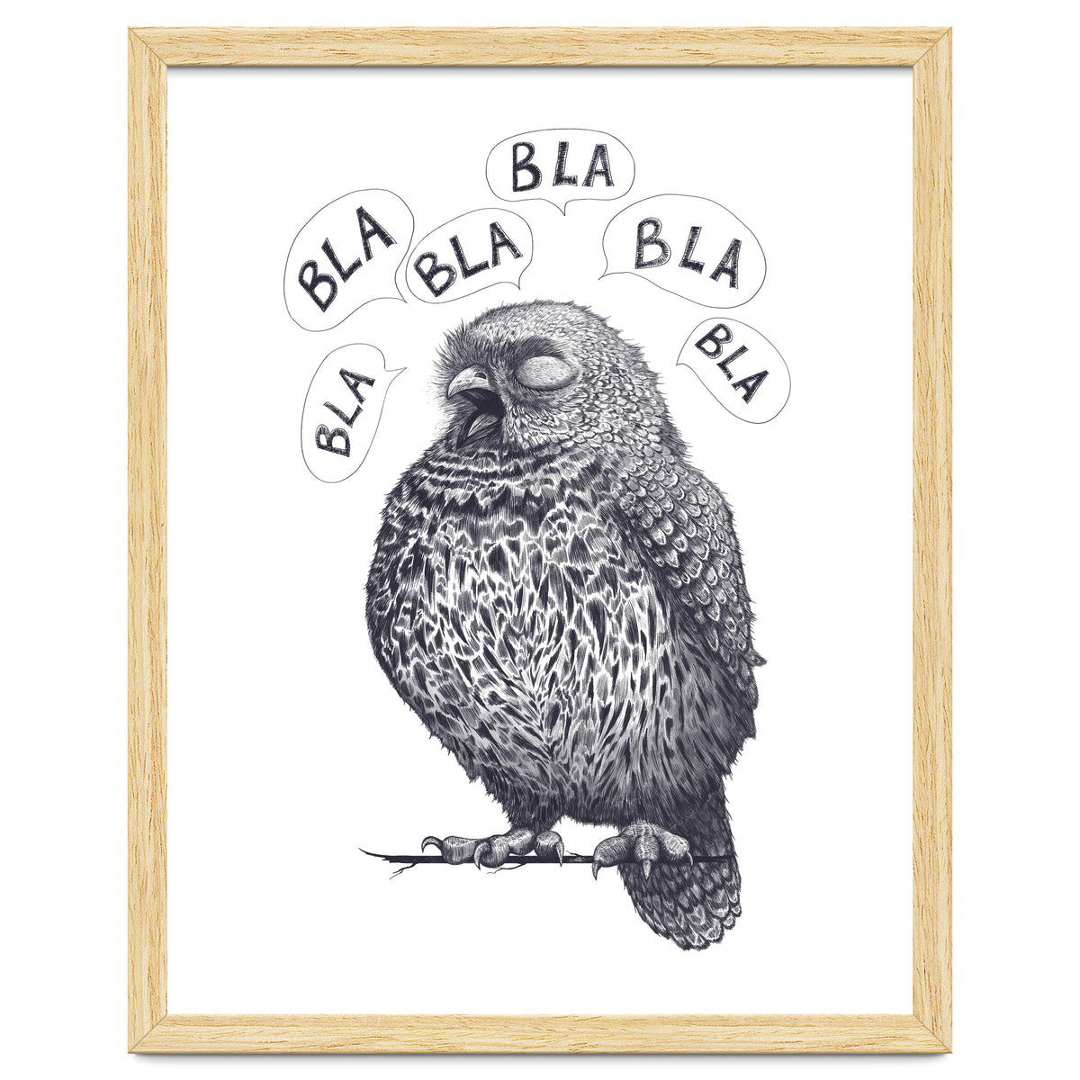 Owl Bla Bla Bla