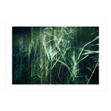 green green grass (Print Only) thumbnail