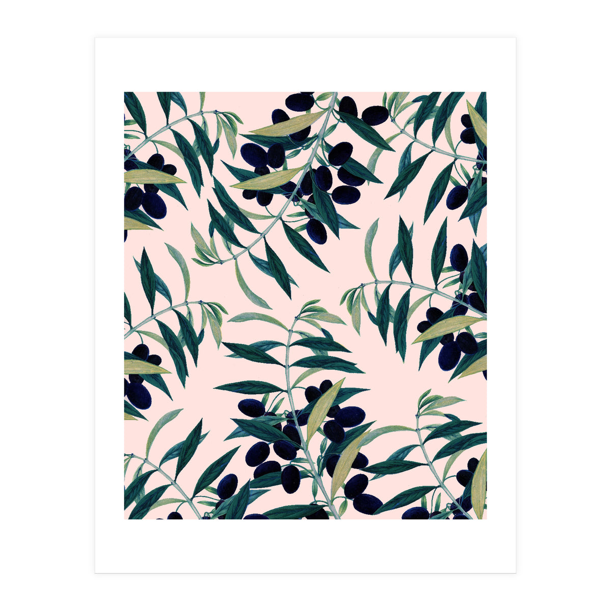 Olive Branch Pattern (Print Only)