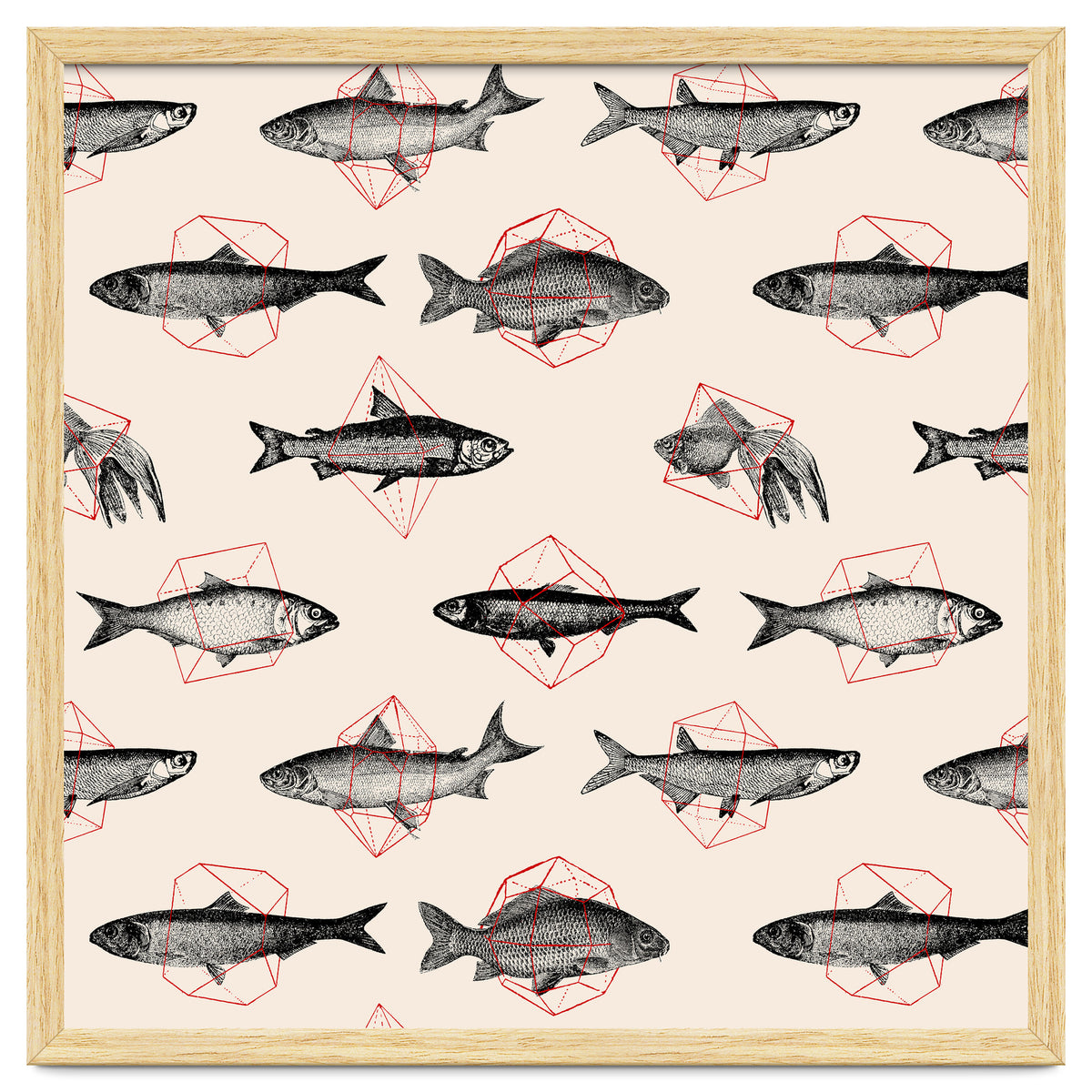 Fish In Geometrics