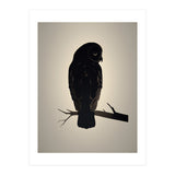 Owl Minimalist Picture (Print Only) thumbnail