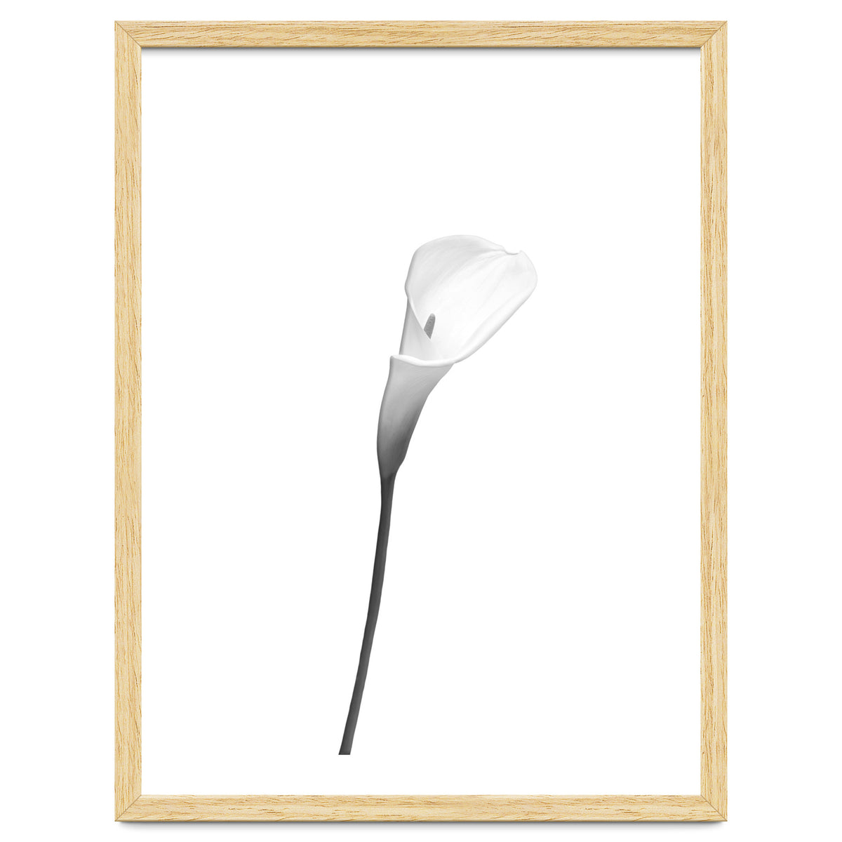 Calla | bright design