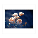 Rose Garden (Print Only) thumbnail