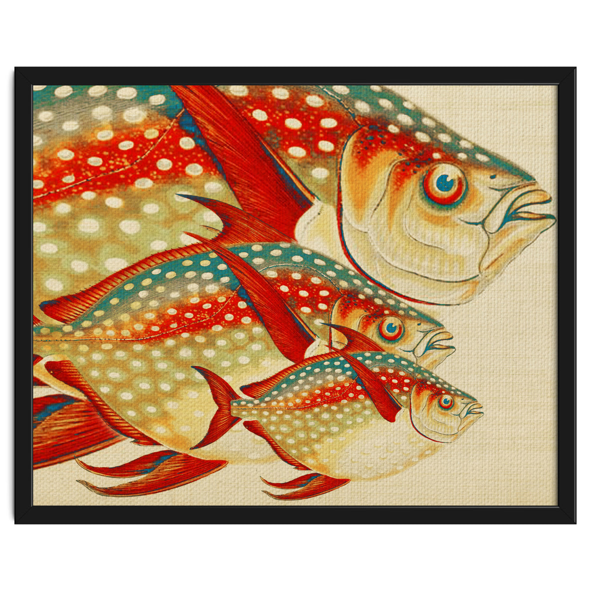 Fish Classic Designs 1