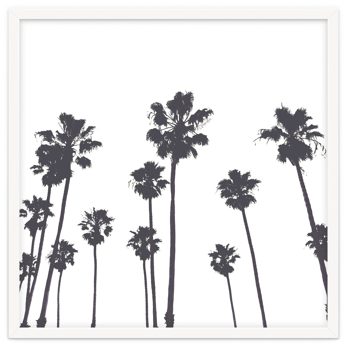 Palms & Sunset-Minimal B&W