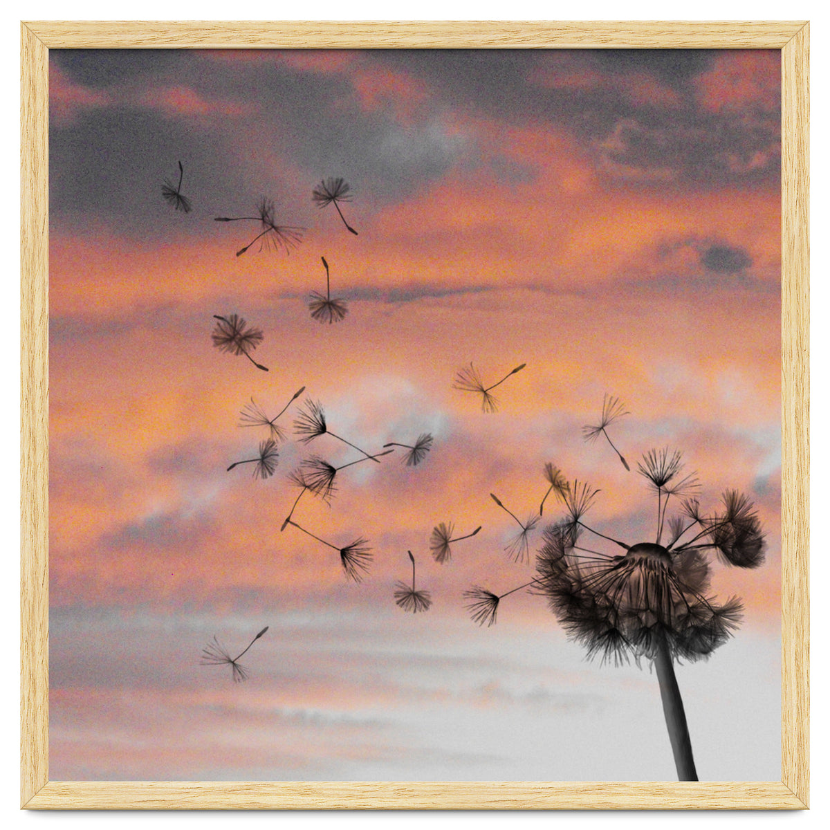 And The Days Went By