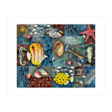 Sea Life Collage (Print Only) thumbnail