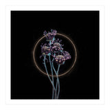 Candy-Coloured Mystery (Print Only) thumbnail