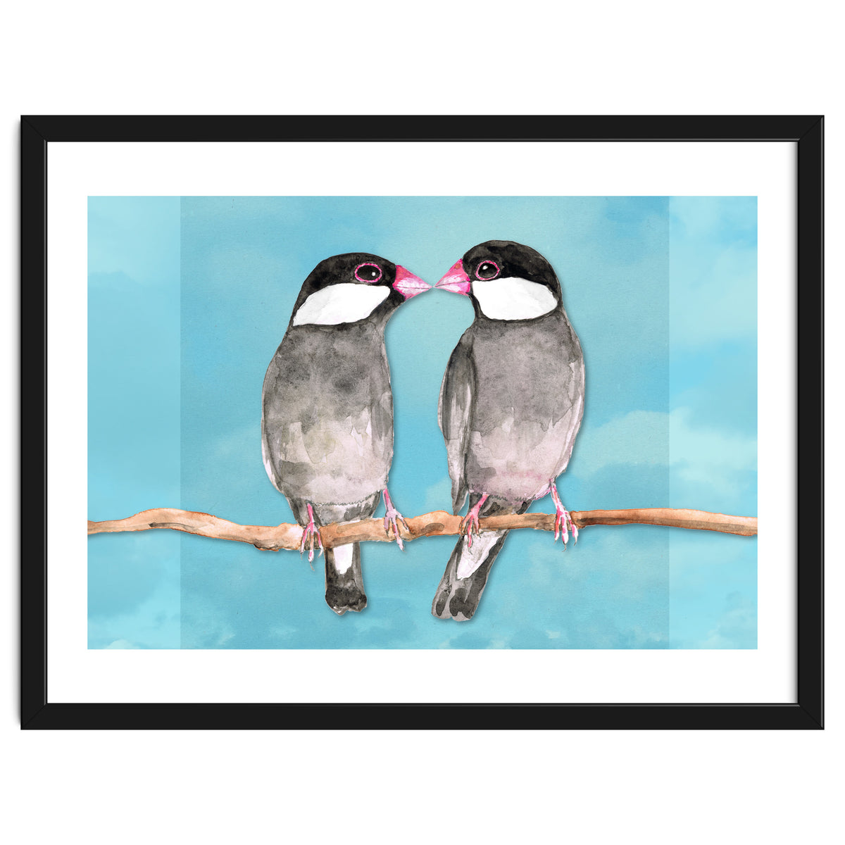 Two kissing Java sparrows