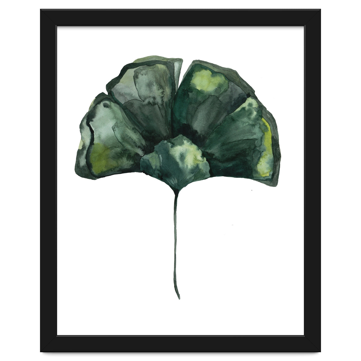 Botanical Illustration Ginko