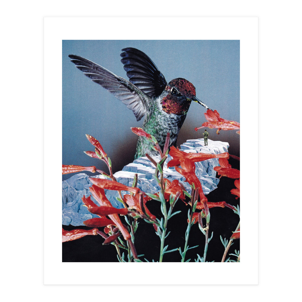 Bird Trainer (Print Only)