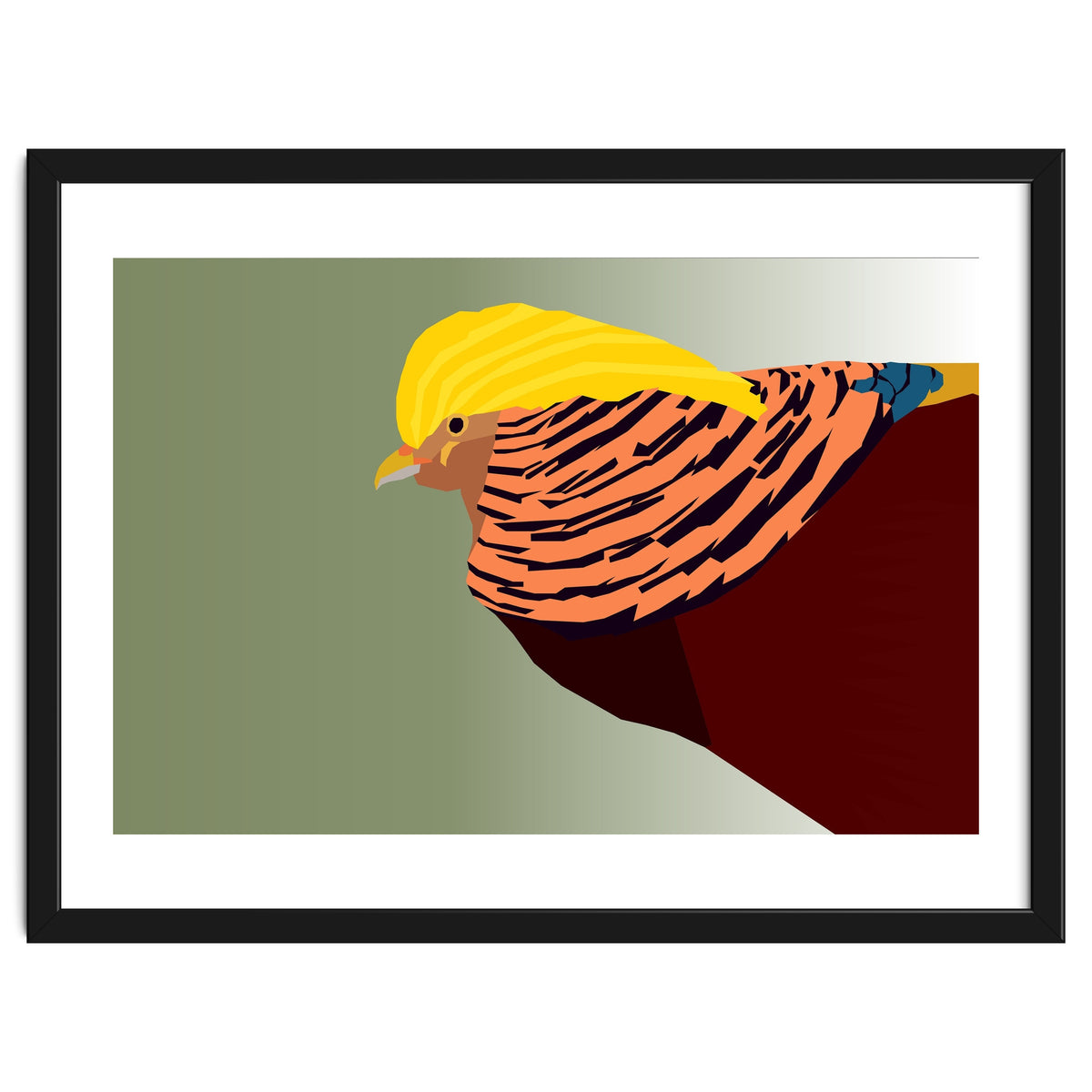 Golden Pheasant Bird Art