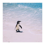 Beach (Print Only) thumbnail