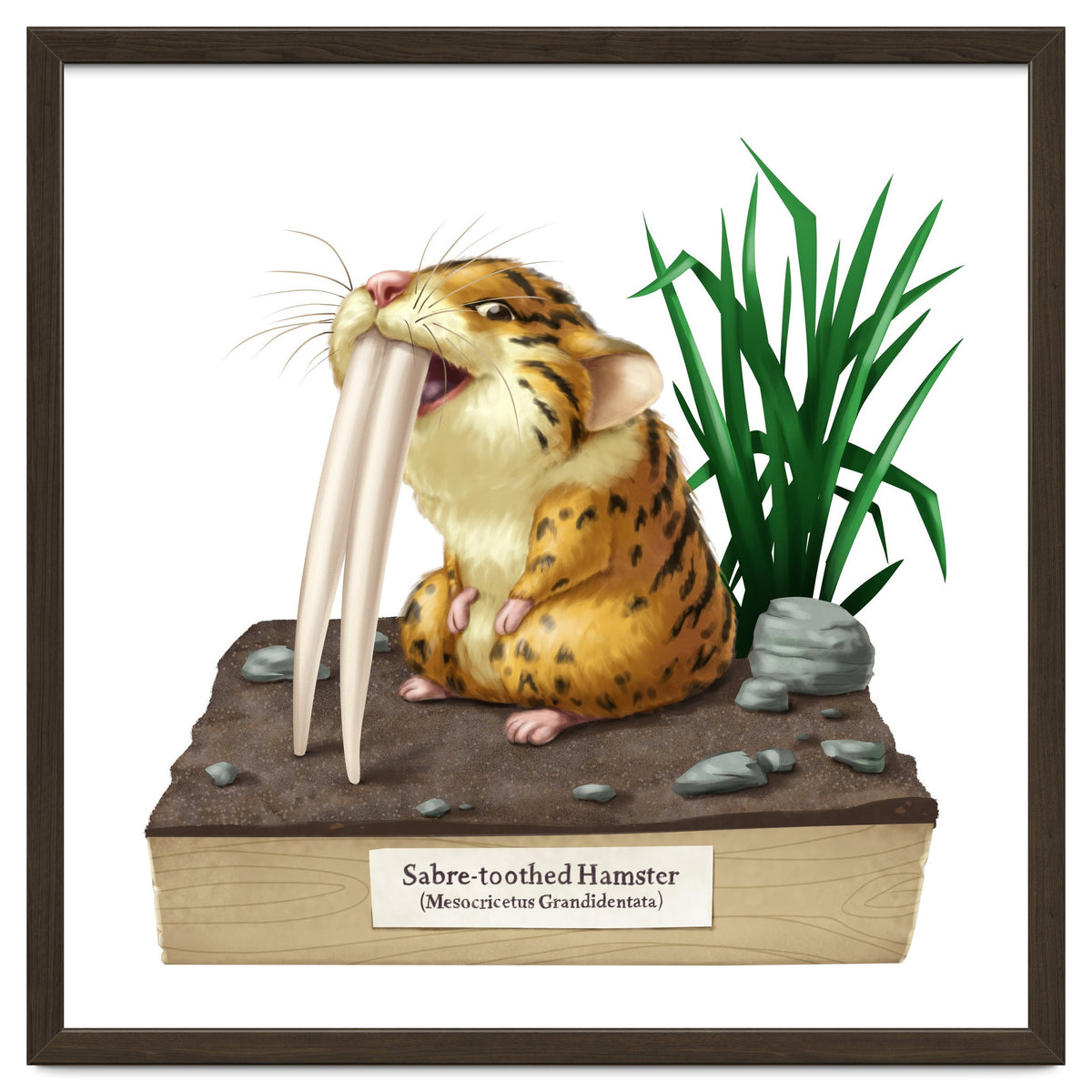 Saber-toothed Hamster