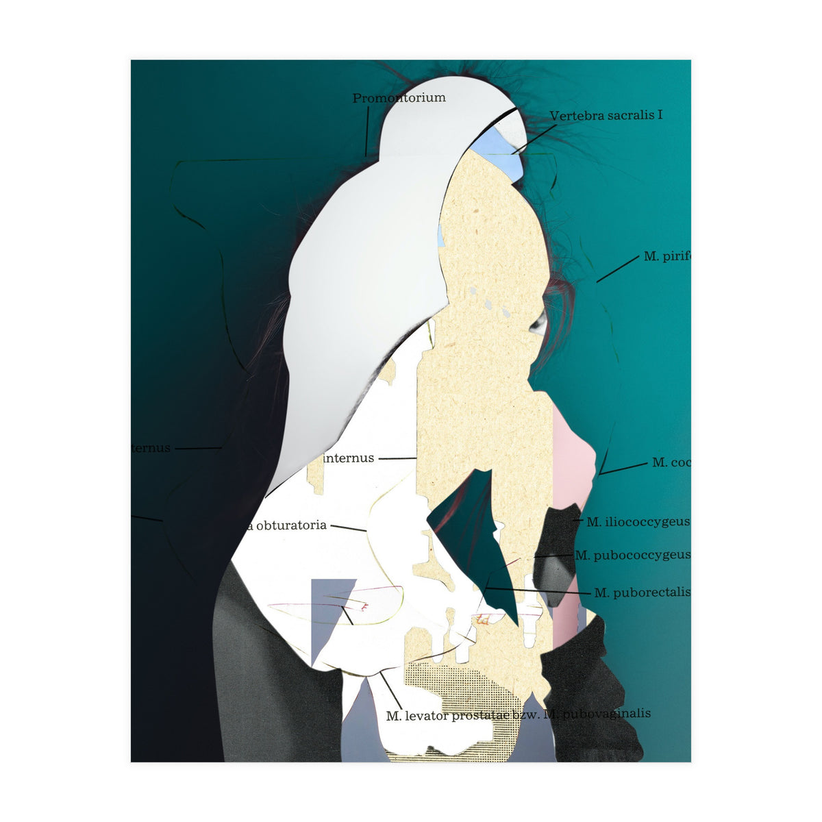 Position Task (Print Only)