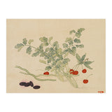 Wang Chengyu~flowers And Vegetables, Vegetables, Fruits, Beans, Red Beans, Cherries, Celery (Print Only) thumbnail