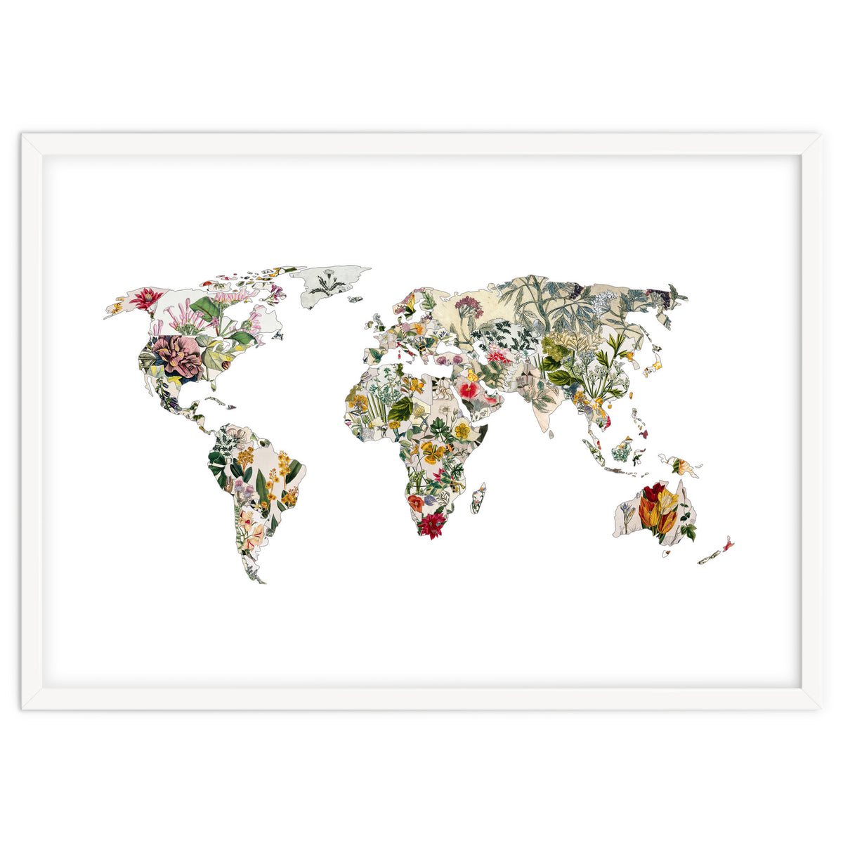 Vintage Botanical Map