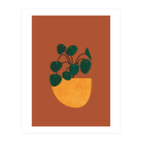 Boho Houseplant (Print Only) thumbnail