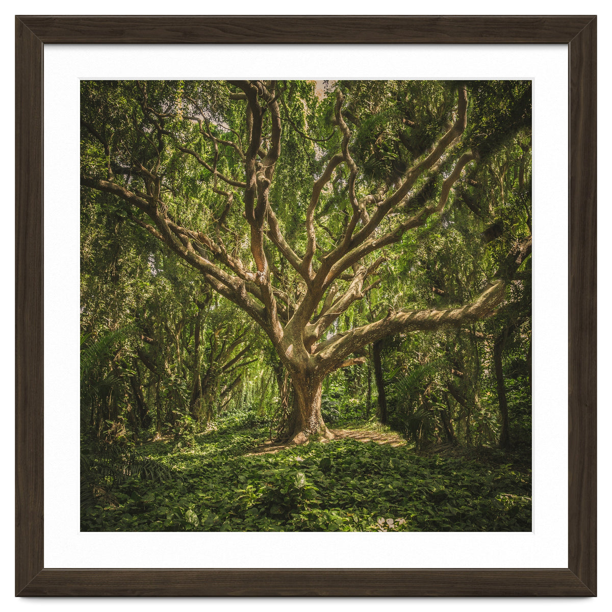 Spirits inside the wood