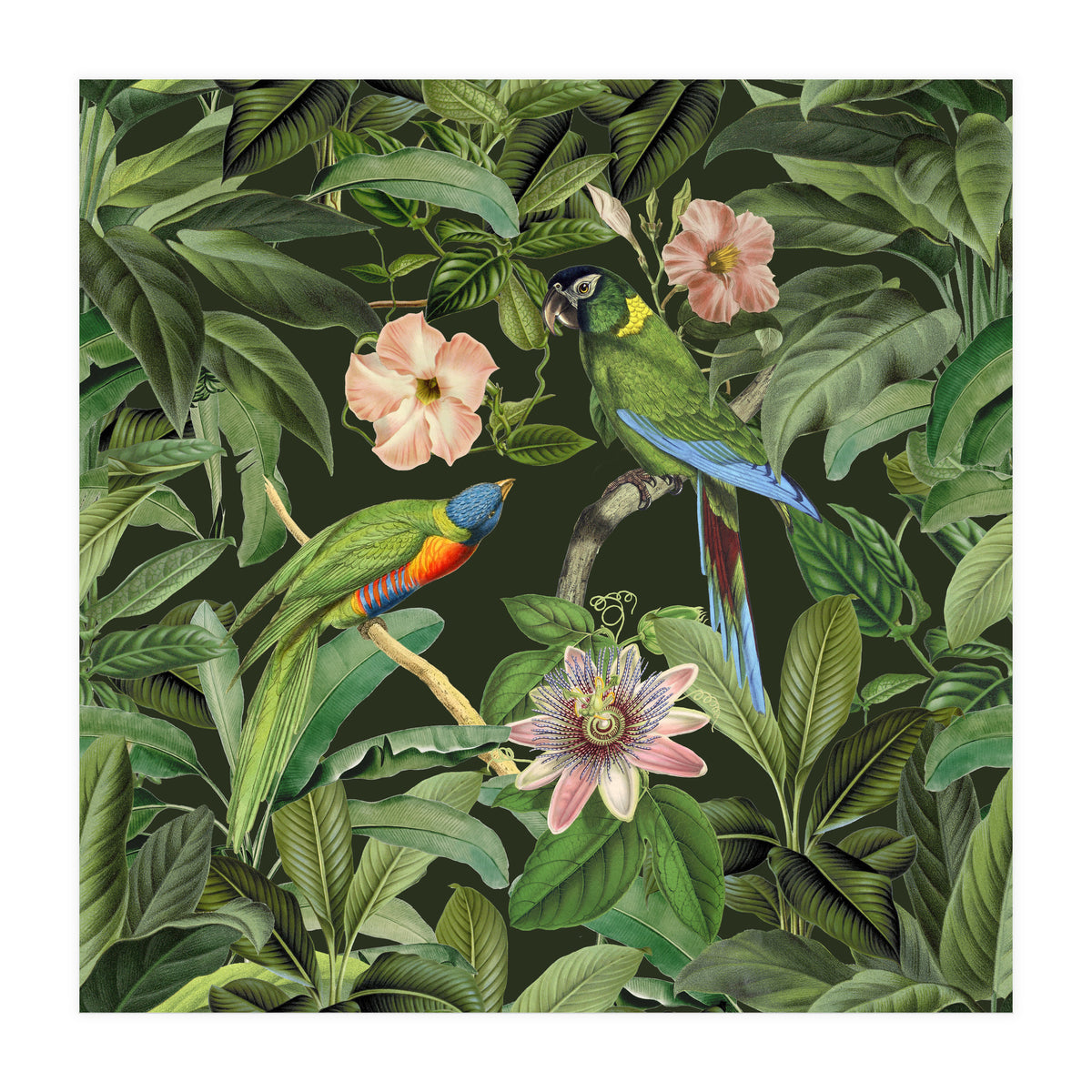 Exotic Jungle Birds (Print Only)