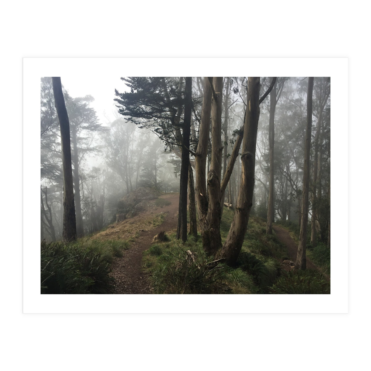 Mt. Davidson II (Print Only)