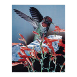 Bird Trainer (Print Only) thumbnail