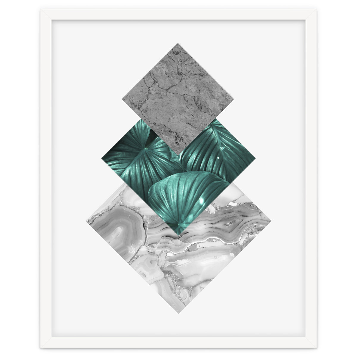 Botanical and geometric V