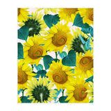 Sunflower (Print Only) thumbnail