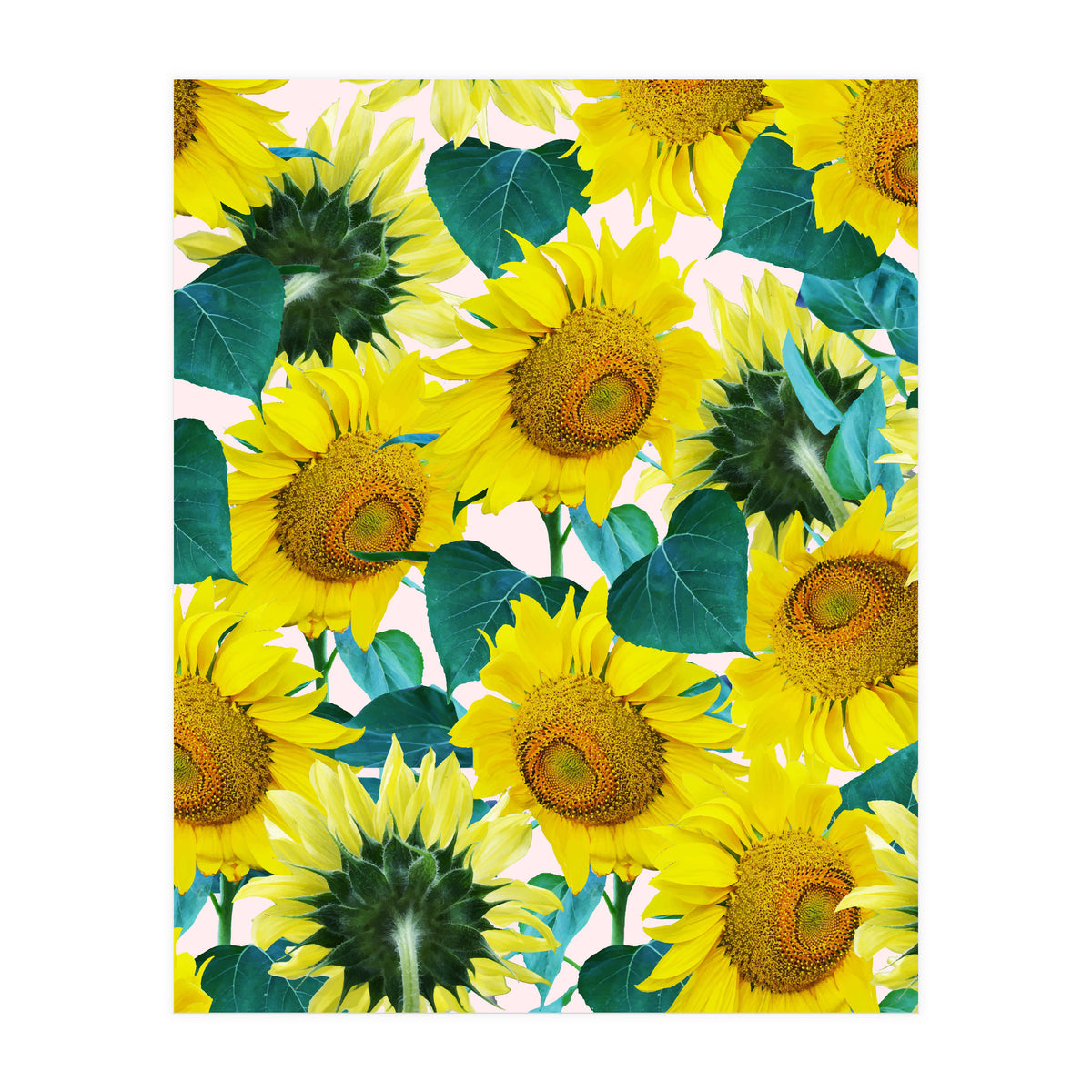 Sunflower (Print Only)