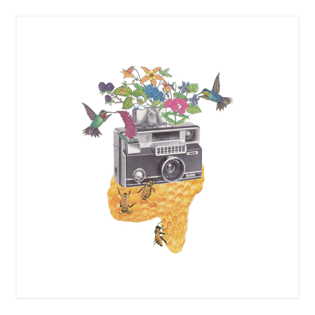 Vintage Camera (Print Only)