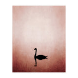 The Swan (Print Only) thumbnail