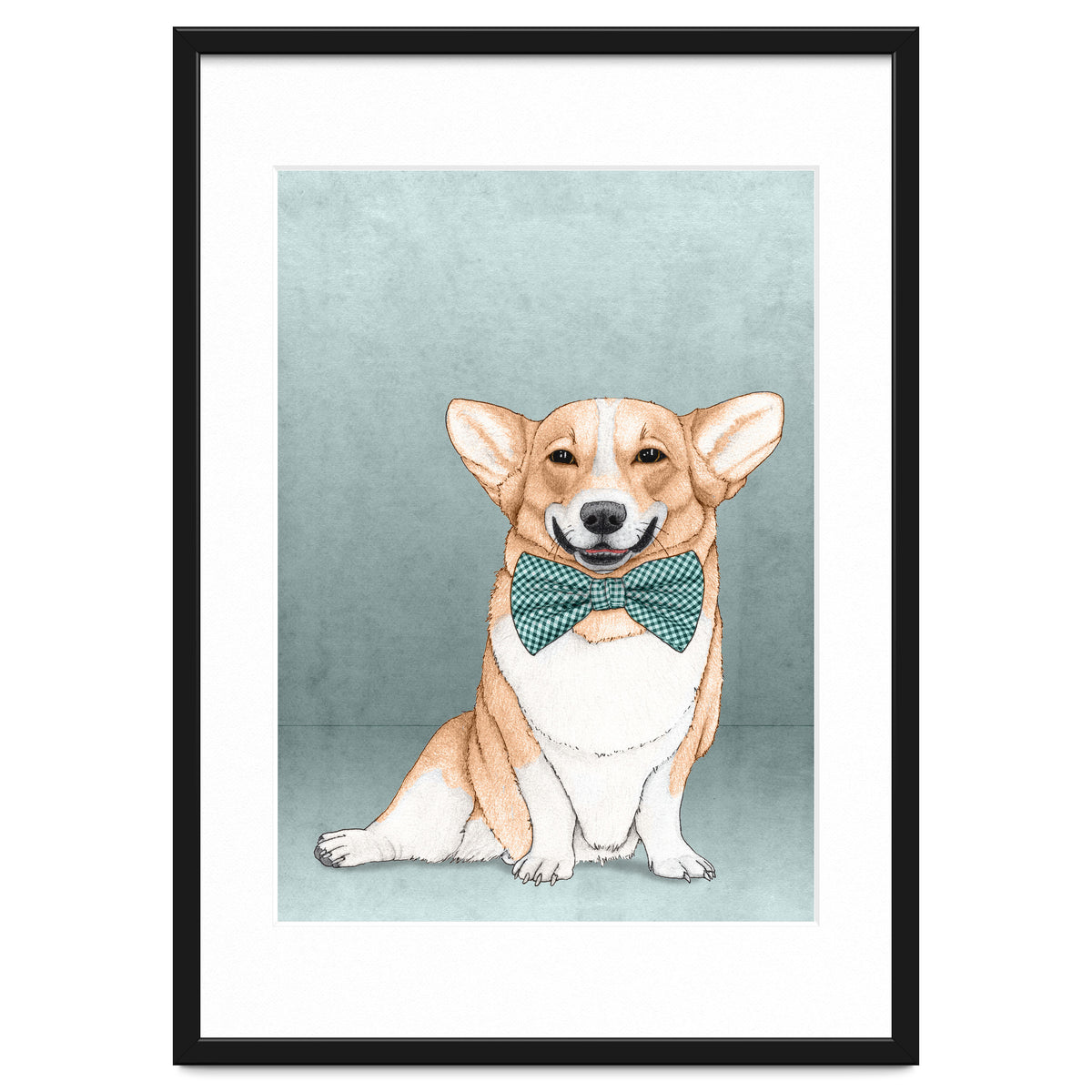 Corgi Dog
