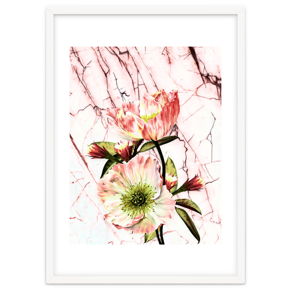 Flowering on pink marble