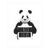 I Need Color (Print Only) thumbnail