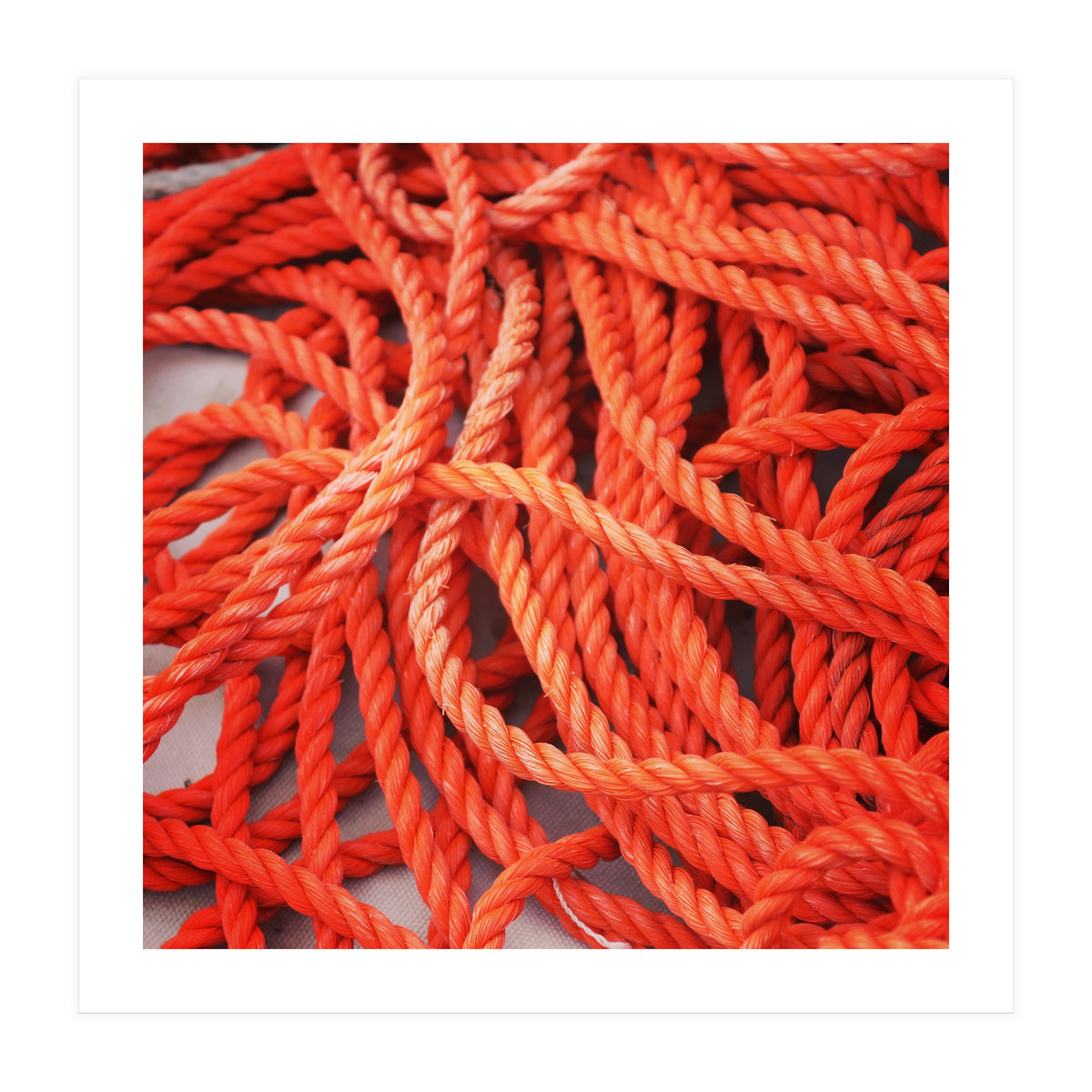 Orange ropes (Print Only)