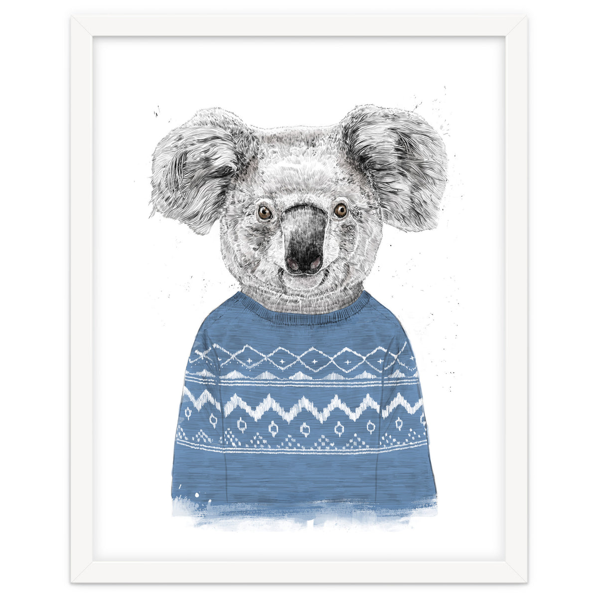 Winter Koala